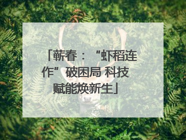 蕲春：“虾稻连作”破困局 科技赋能焕新生